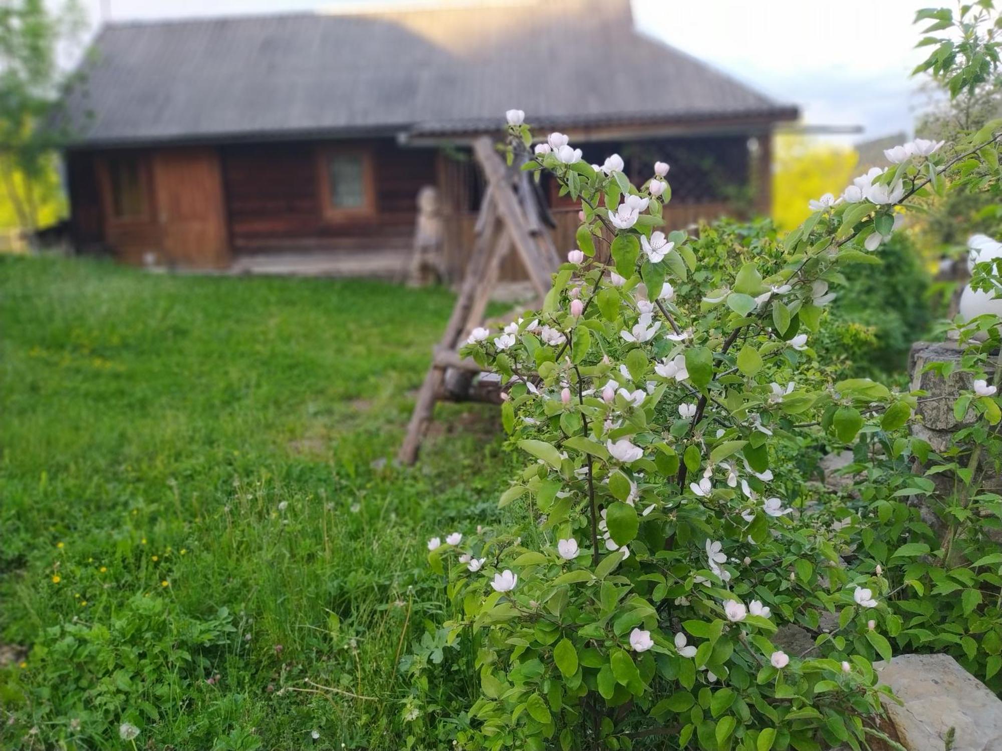 Starovitska Hata - Ethno-Cottage Verkhovyna Exterior photo